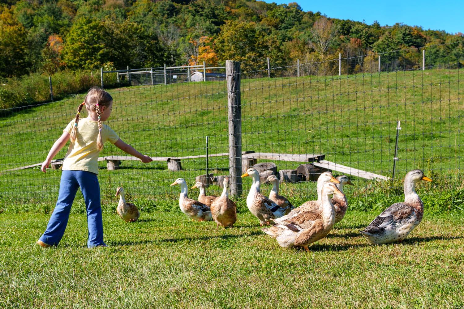 A Fall Afternoon at Hildene with Kids