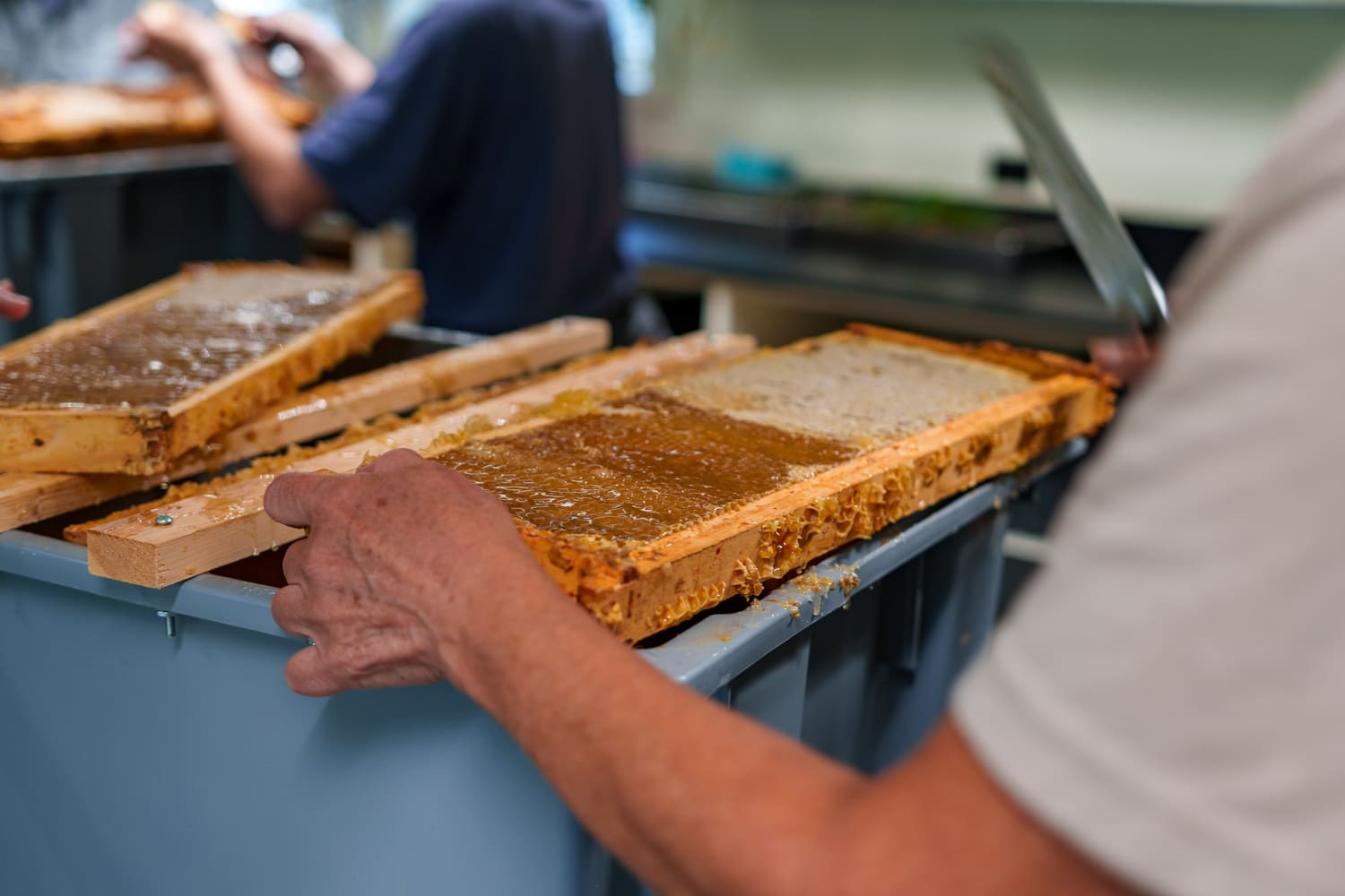 Cheese, Honey, and the Art of Paying Attention
