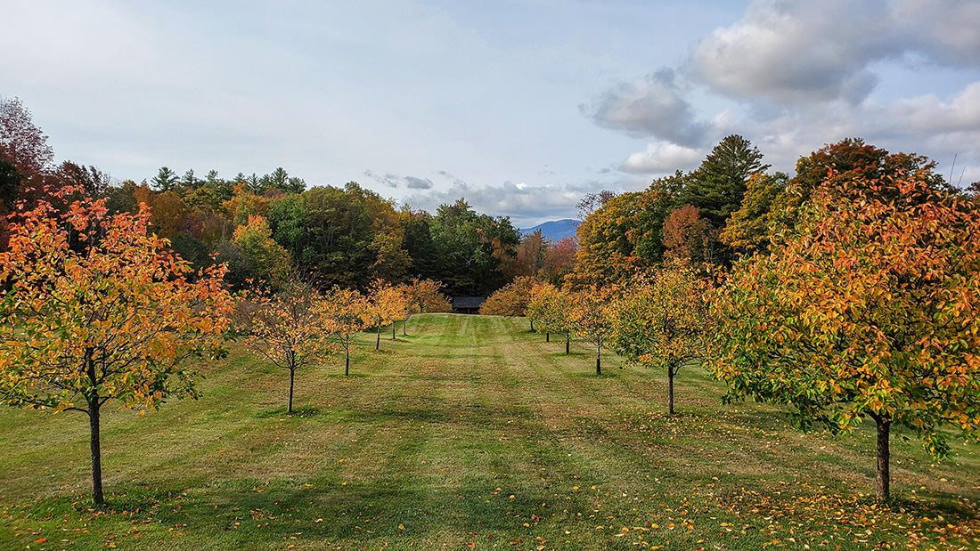 Fall Greetings From The Museum Store