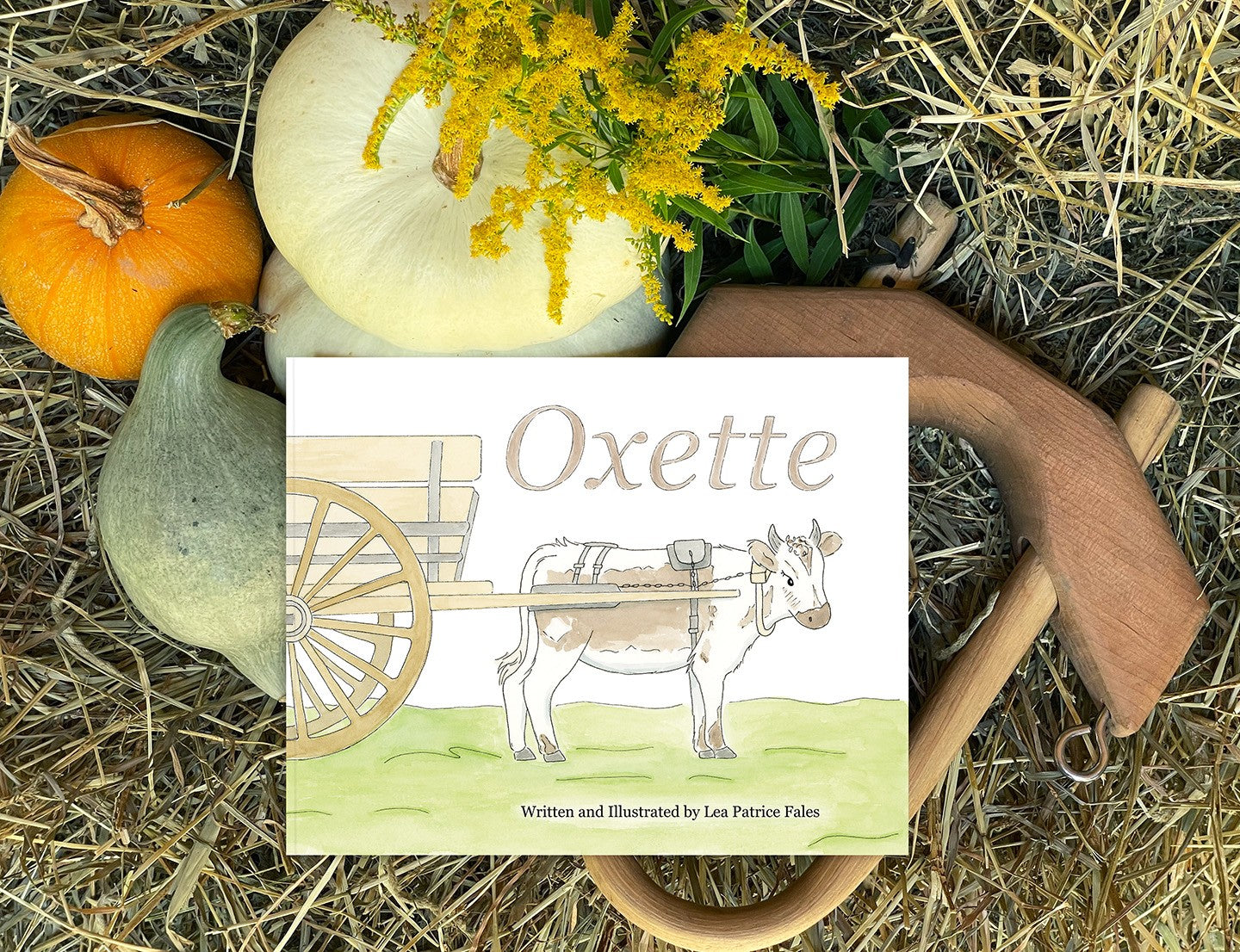 Oxette by Lea Patrice Fales