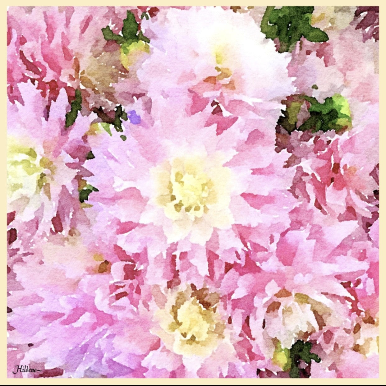 Hildene Peony Silk Scarf - Blush