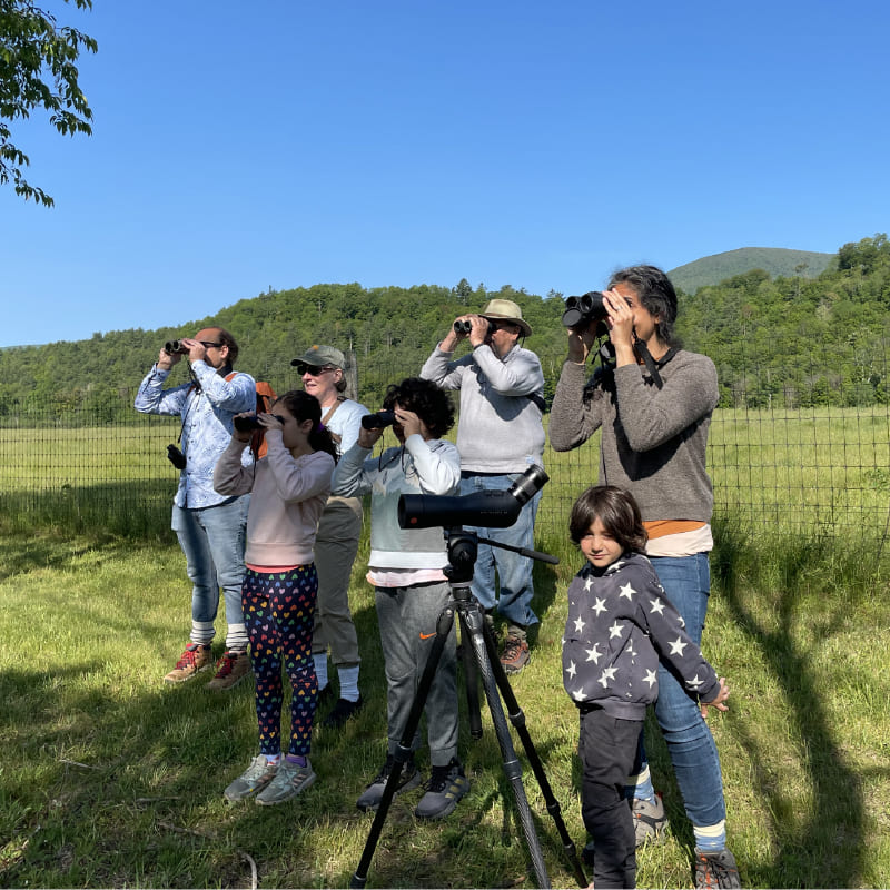 Intro to Birding Workshop