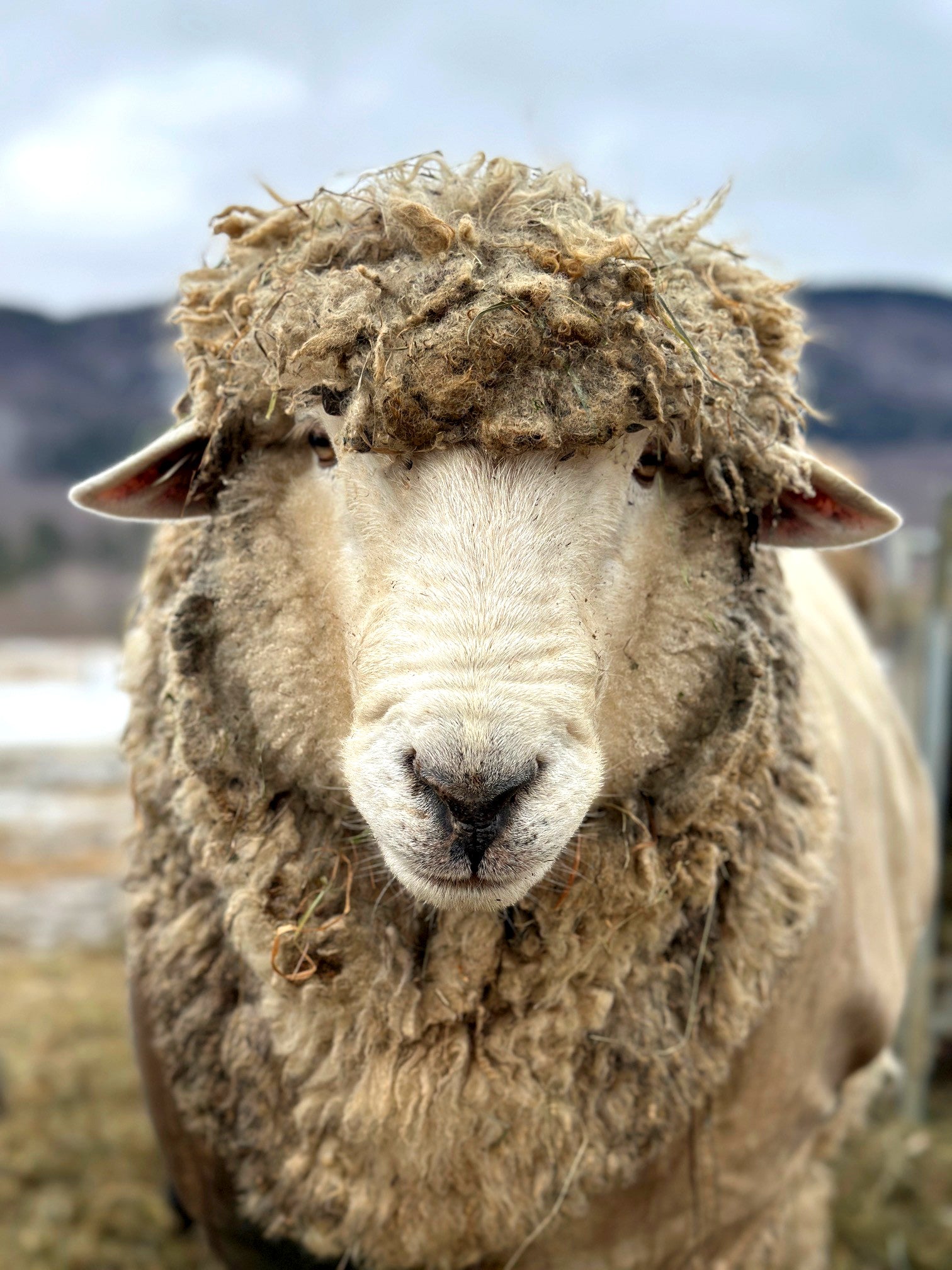 Hildene - The Lincoln Family Home