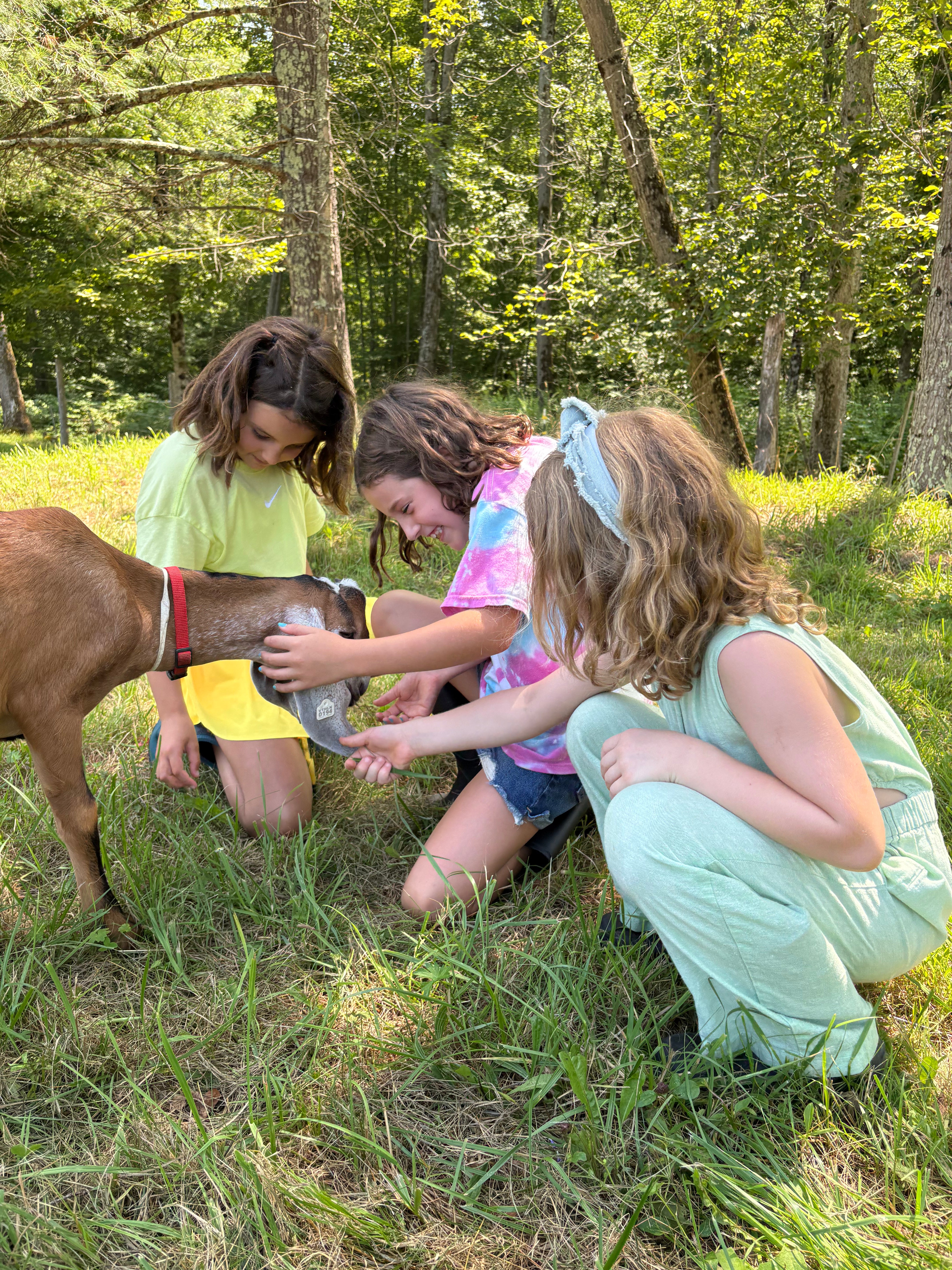 Step Into Spring Camp at Hildene