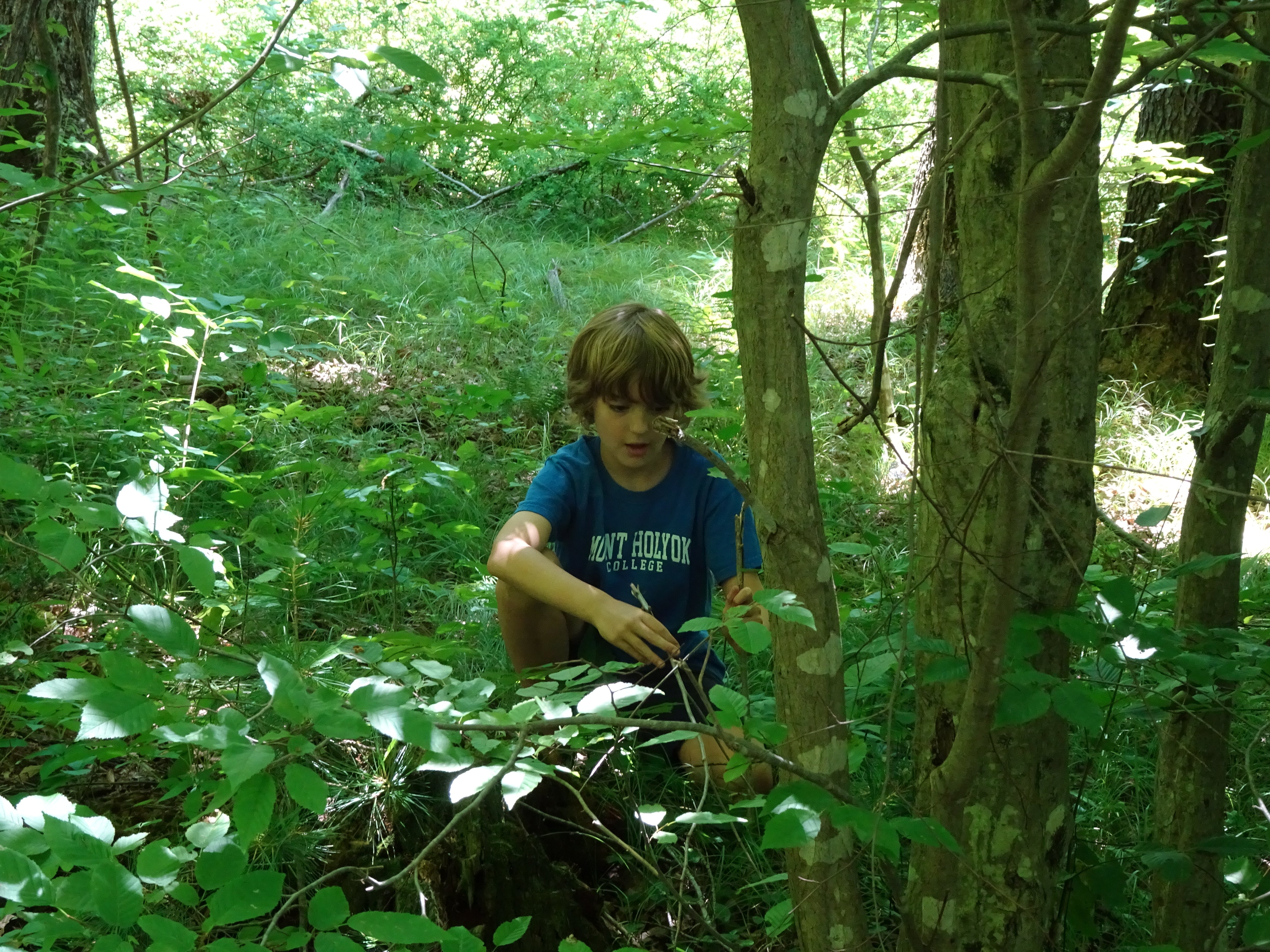 Hildene - The Lincoln Family Home