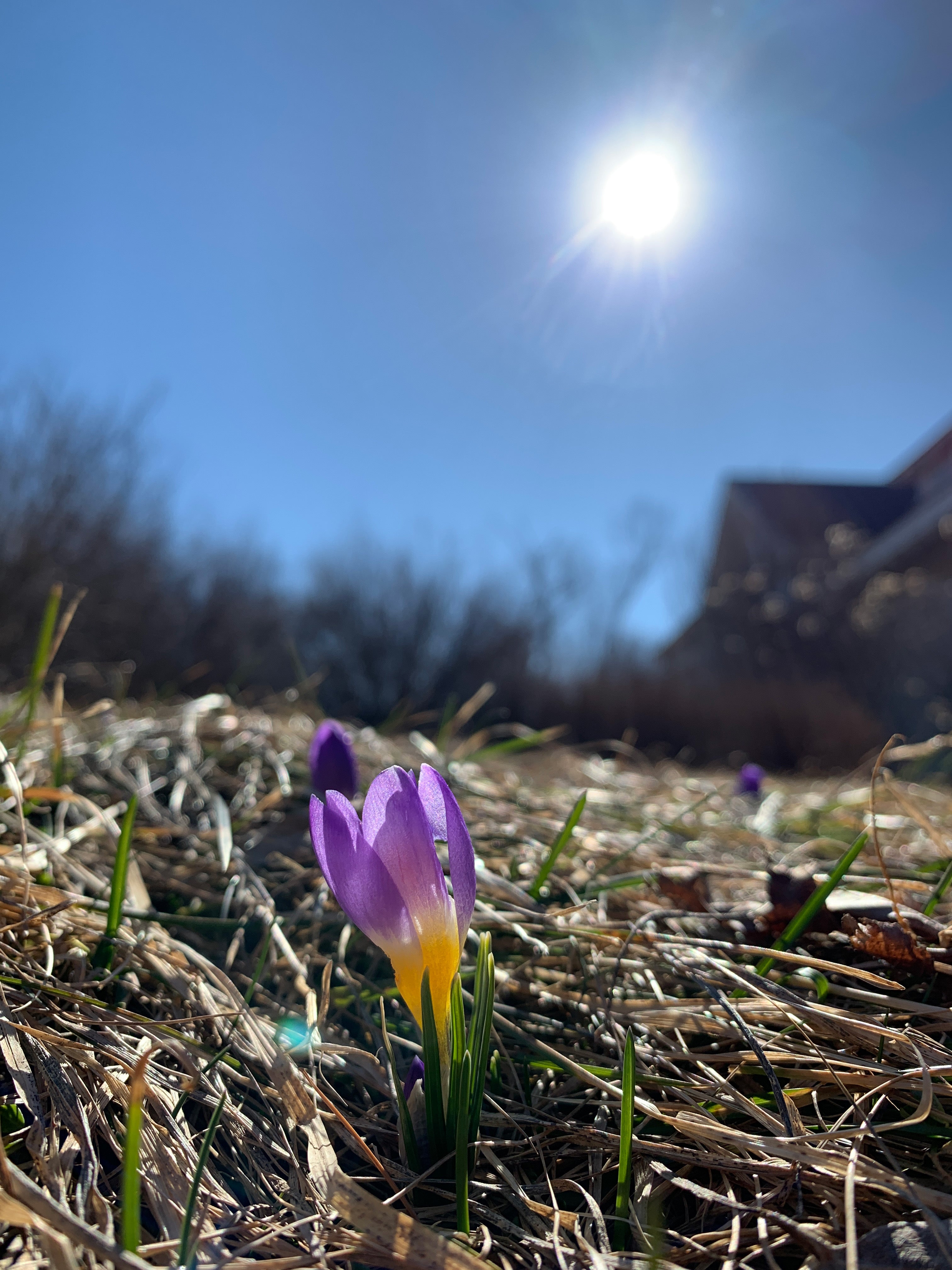 Hildene - The Lincoln Family Home
