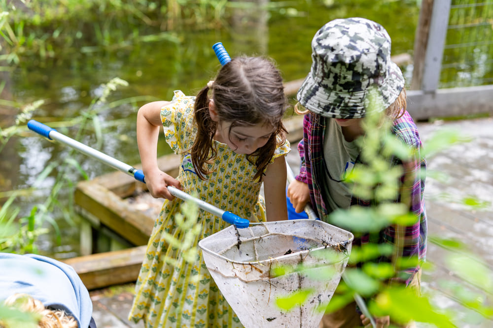 Fall School Programs at Hildene