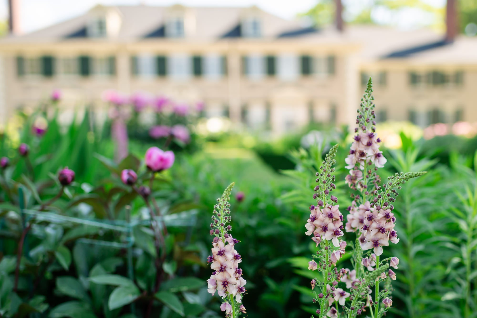 A Summer Night at Hildene