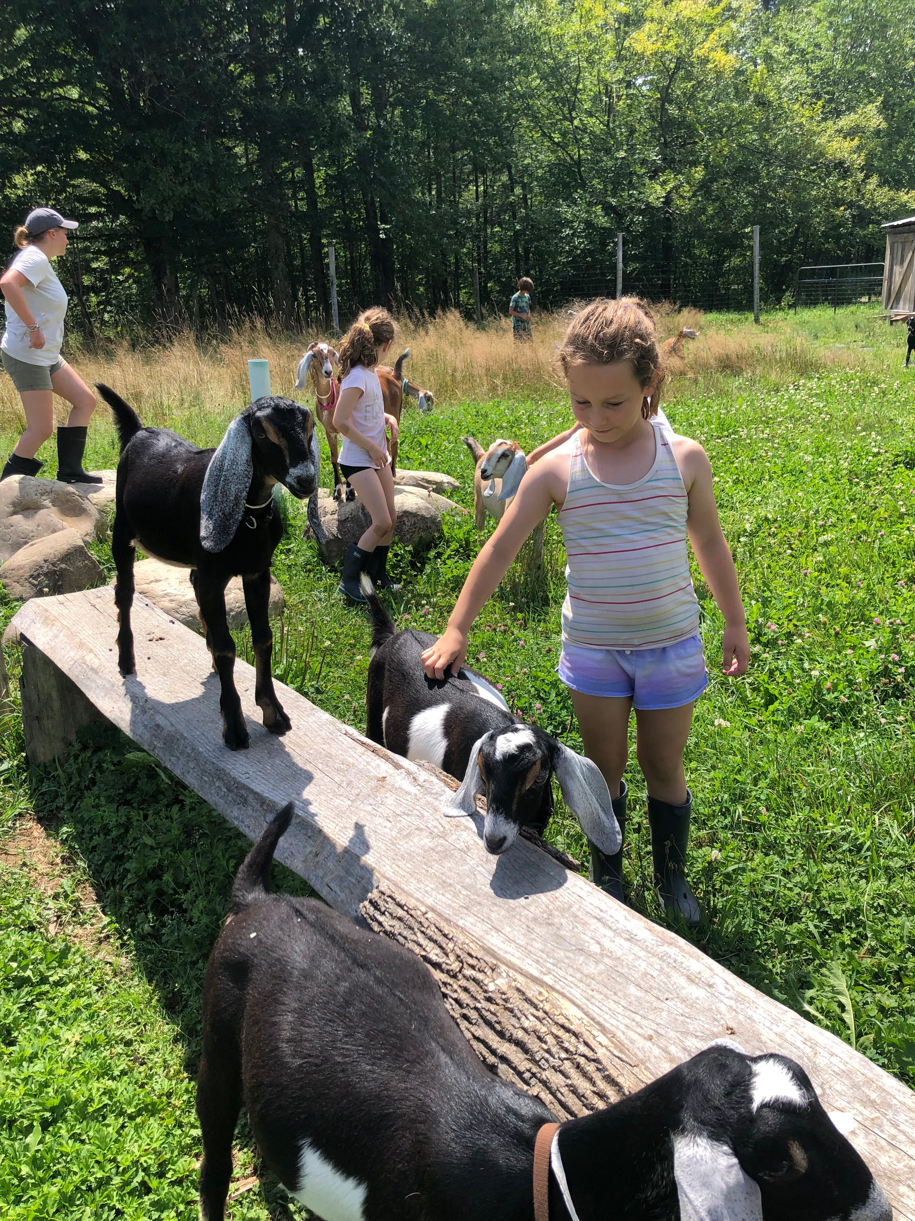 Hildene - The Lincoln Family Home
