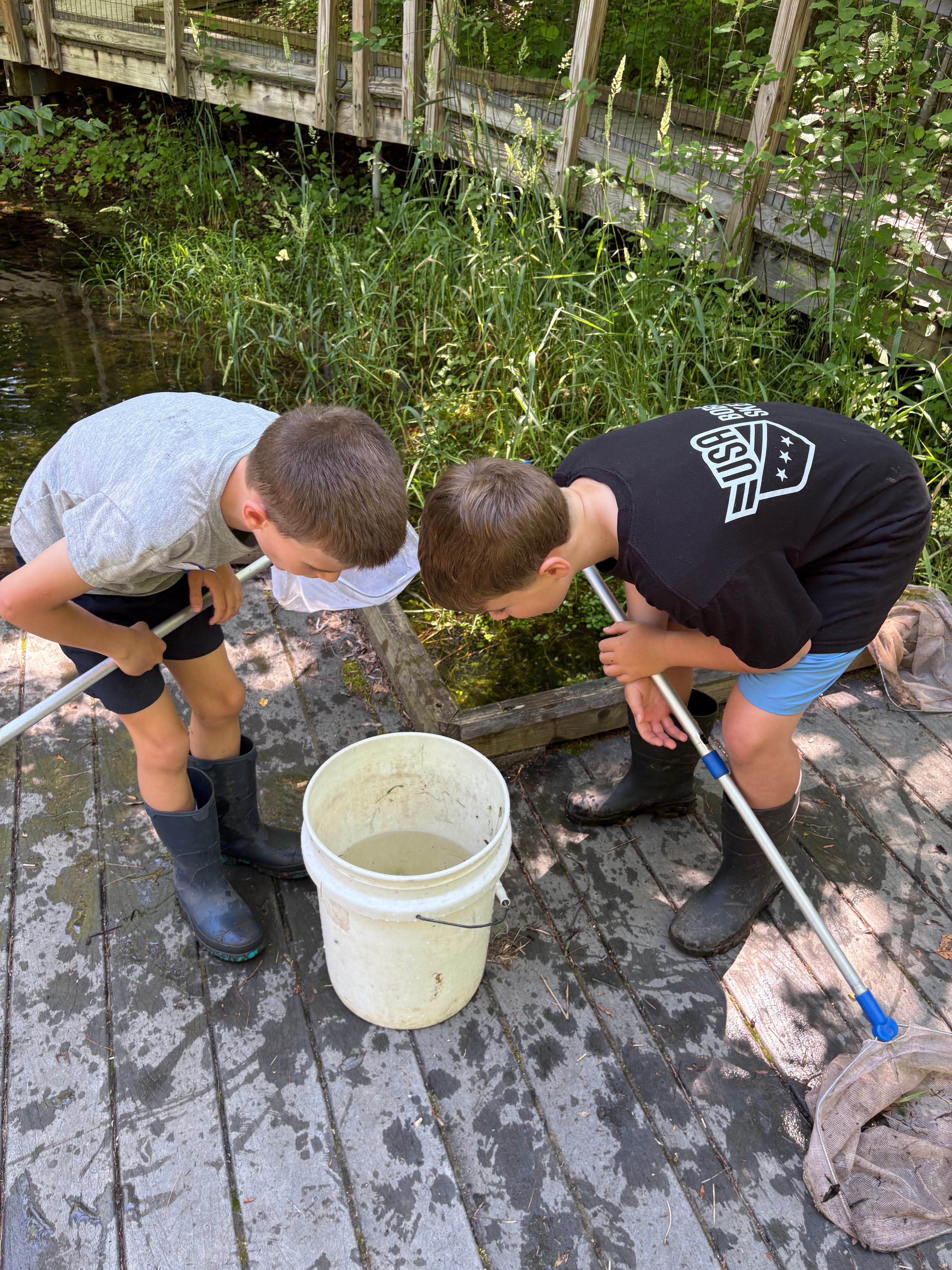 Hildene - The Lincoln Family Home