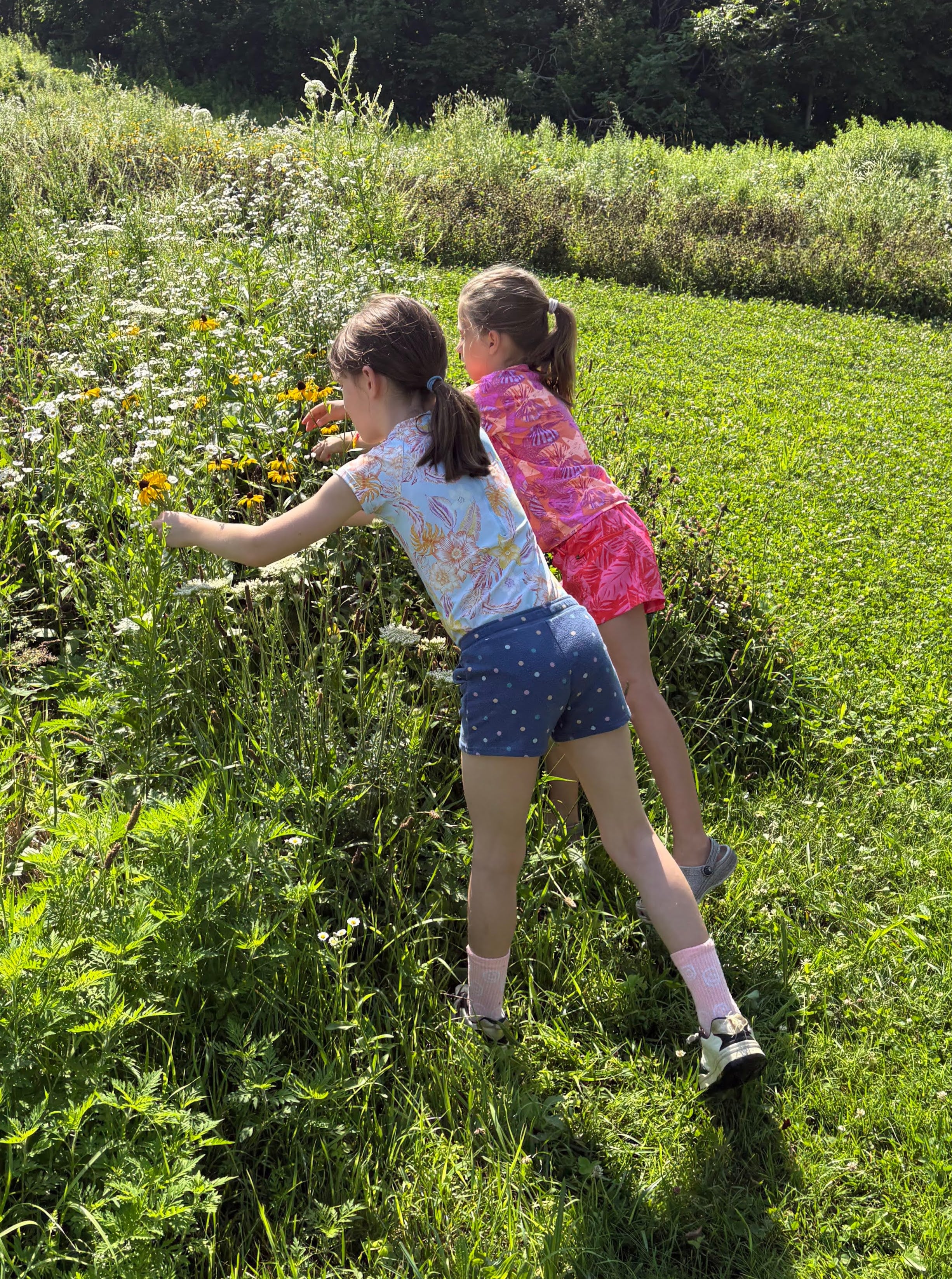 Hildene - The Lincoln Family Home