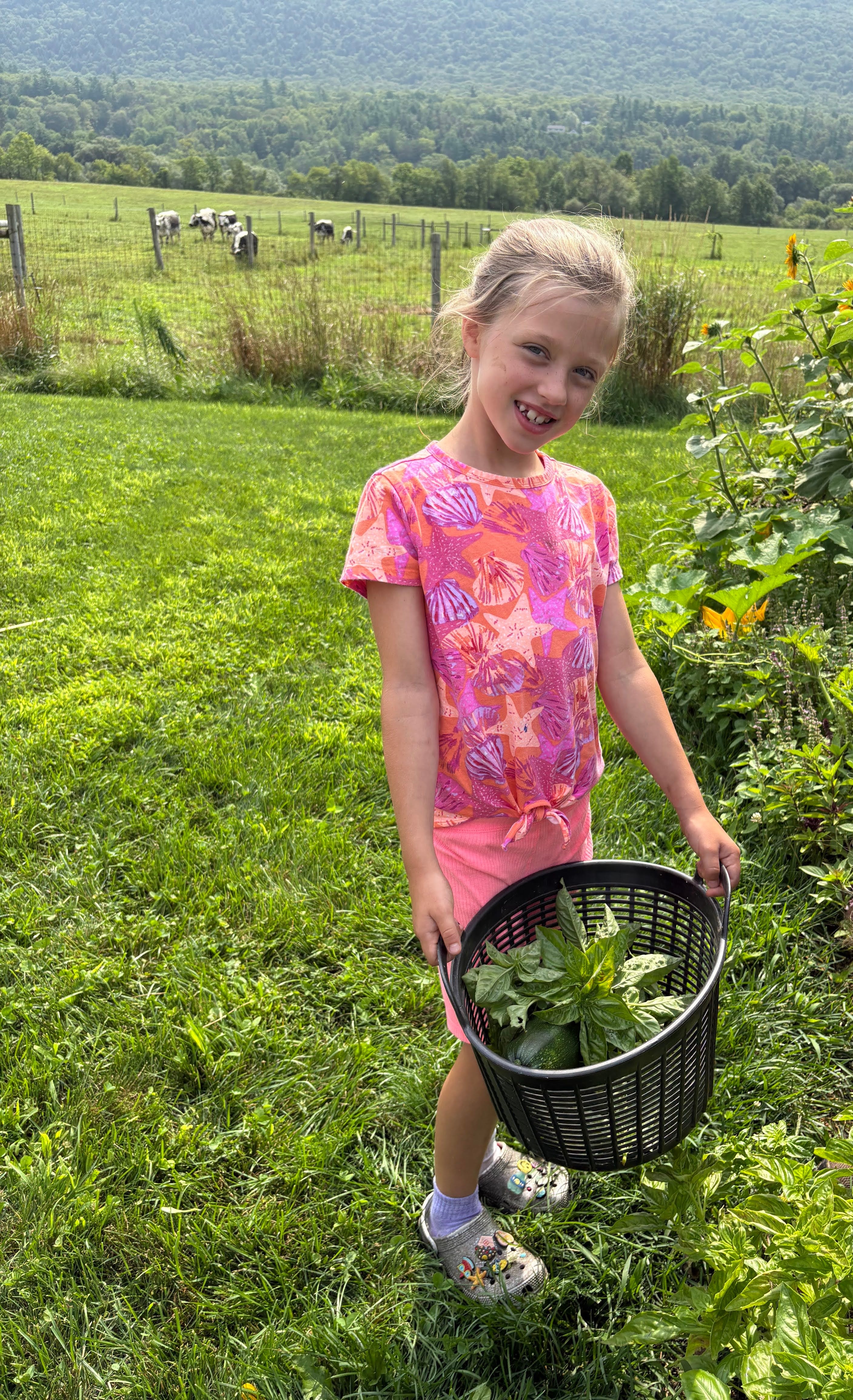 Hildene - The Lincoln Family Home