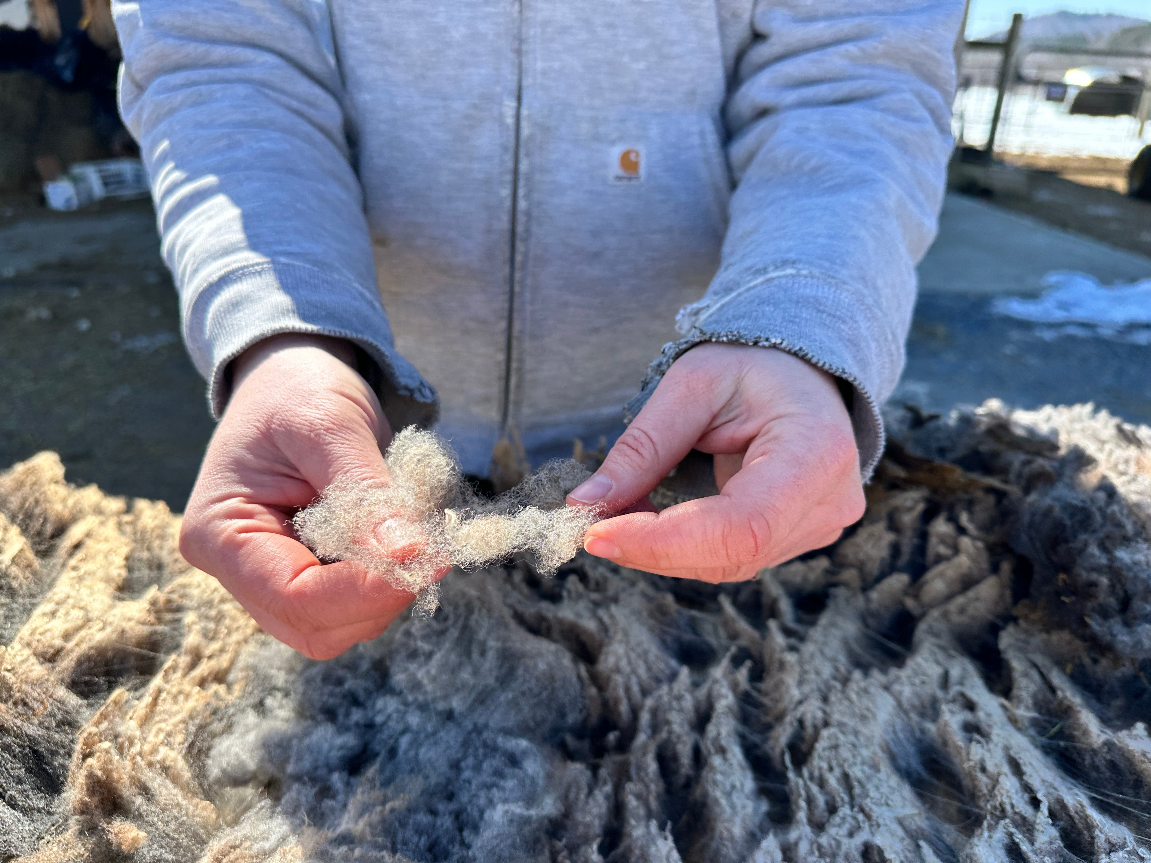 Wayside Yarn - Milkweed Cream