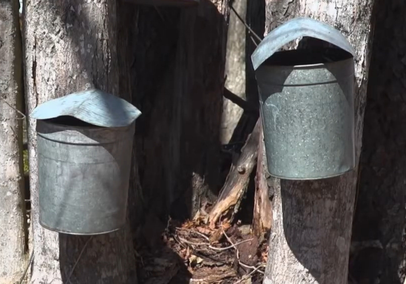 Hildene - The Lincoln Family Home