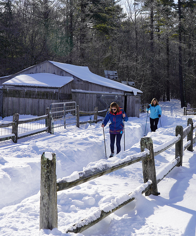 Hildene - The Lincoln Family Home