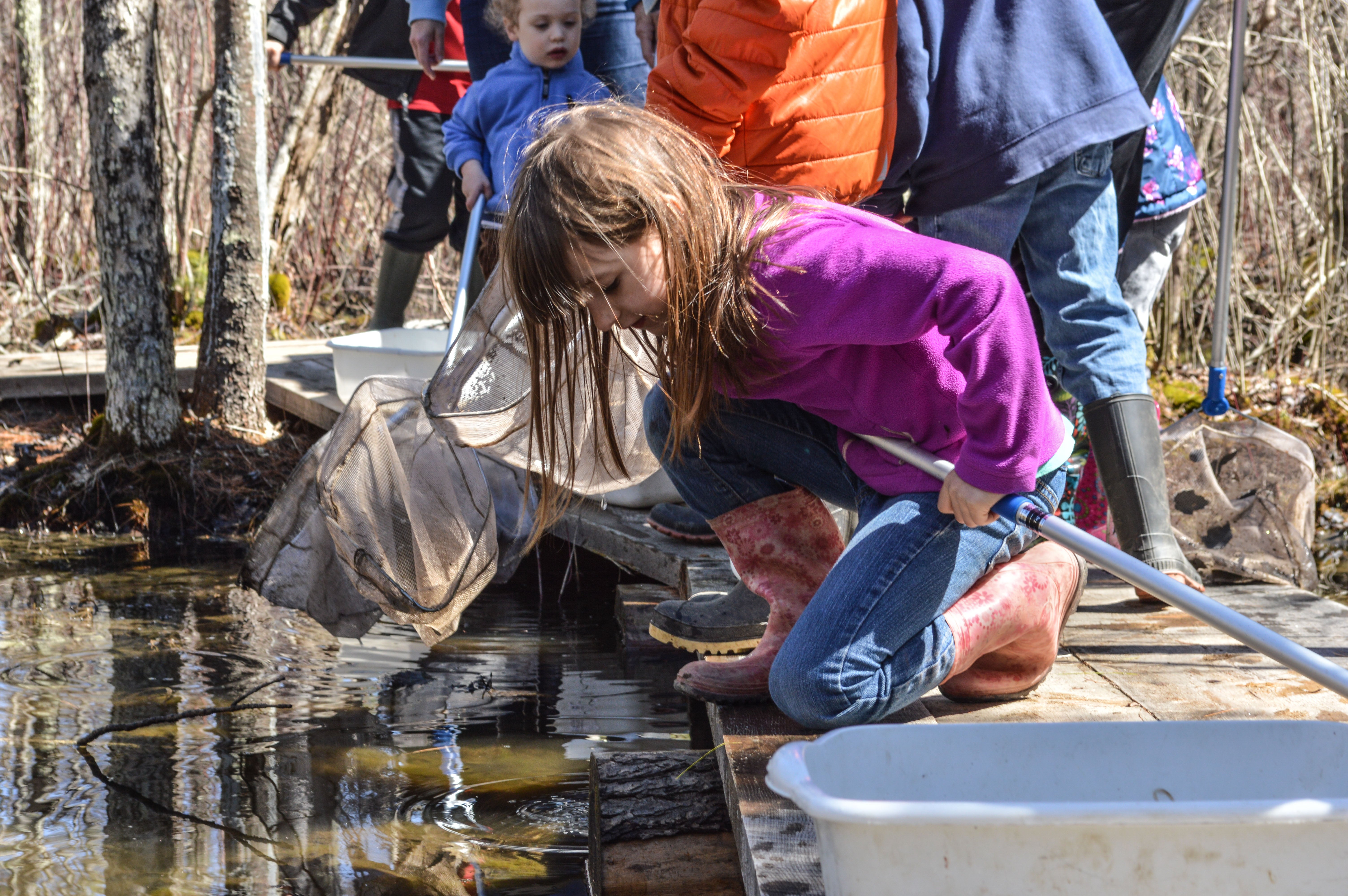 Hildene - The Lincoln Family Home