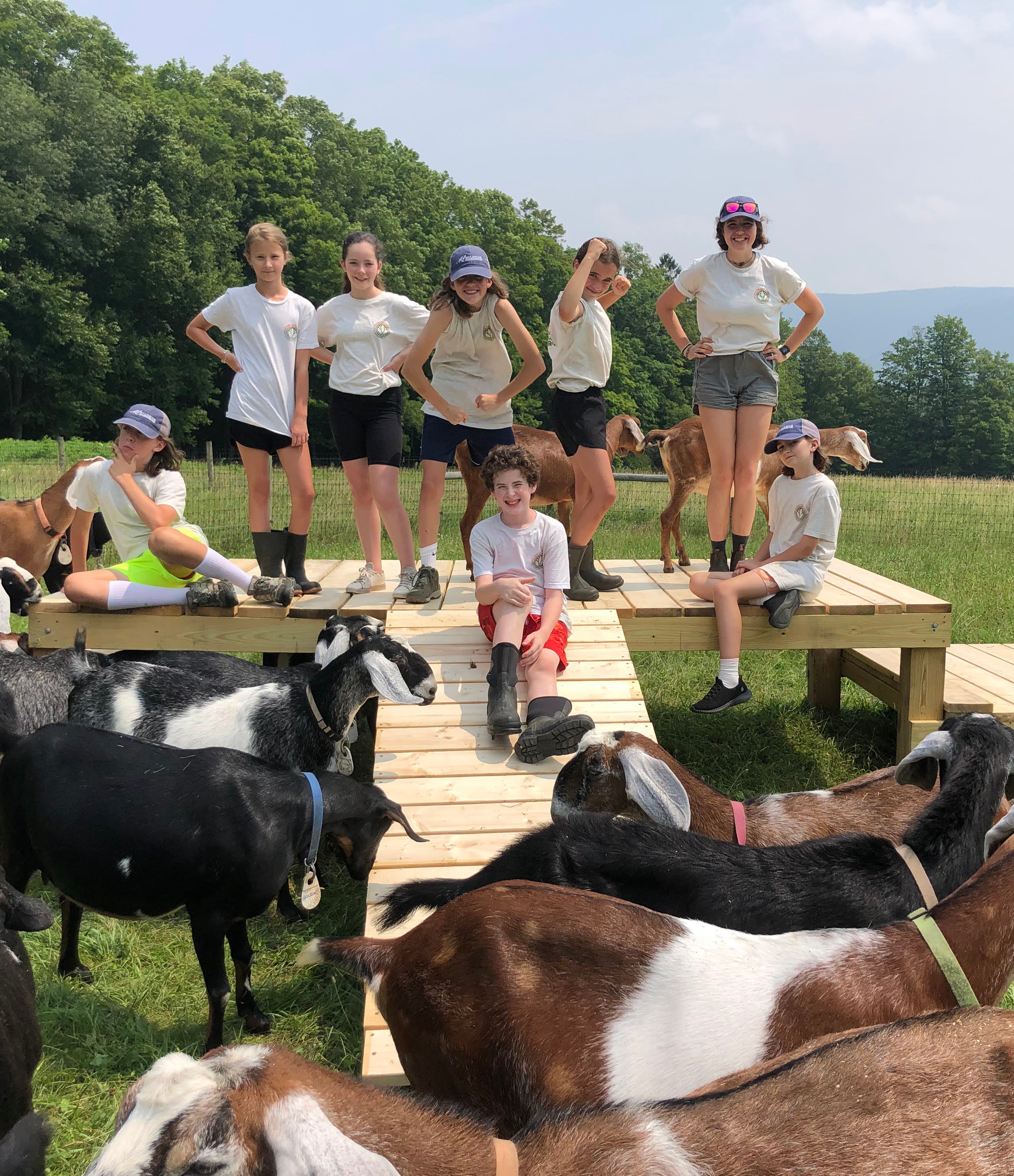 Hildene - The Lincoln Family Home