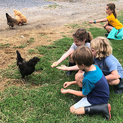 Hildene - The Lincoln Family Home