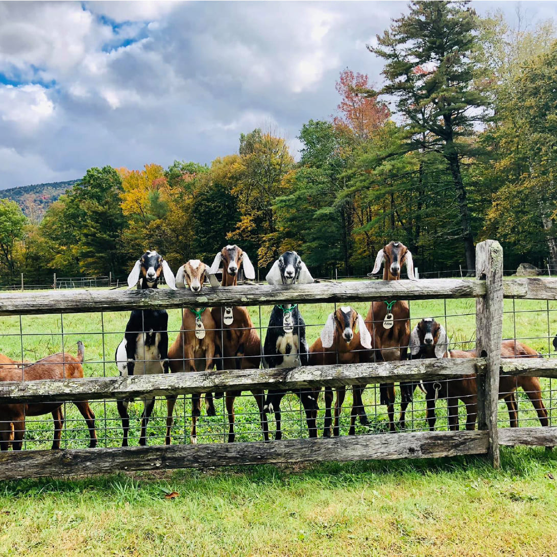 Hildene - The Lincoln Family Home