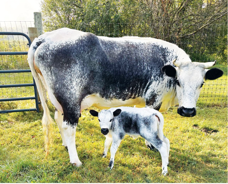 Hildene - The Lincoln Family Home
