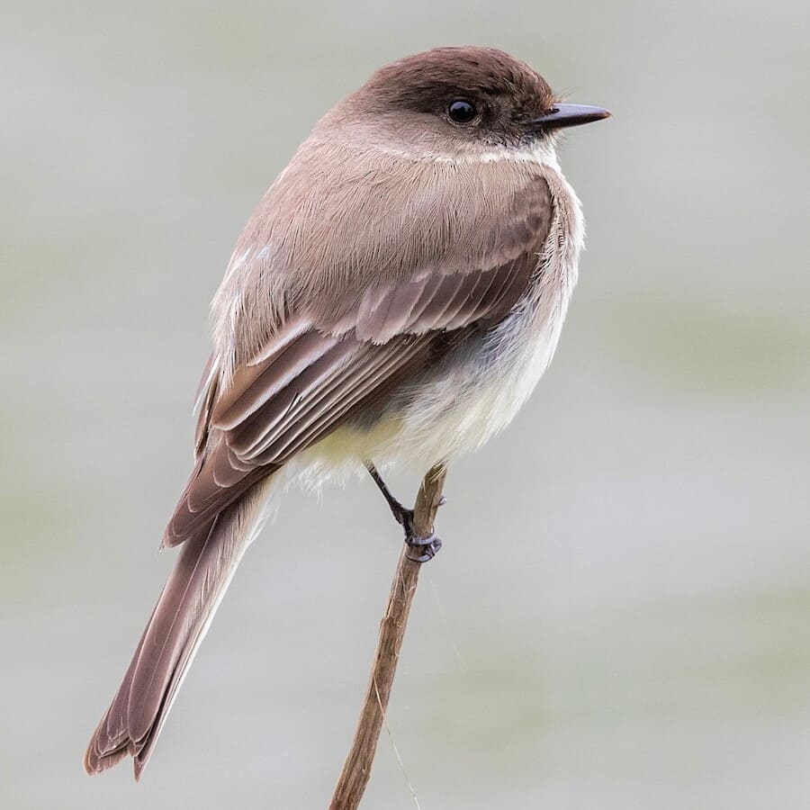 Hildene - The Lincoln Family Home