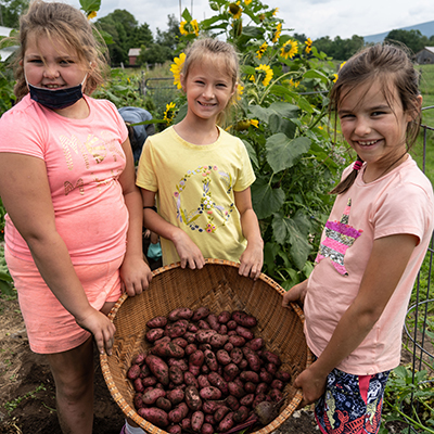 Summer Day Camp, Hildene farm camp, 2021, basket of potatoes