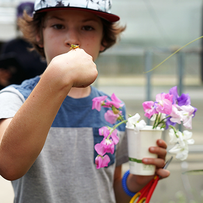 Summer Day Camp, wonderful world of plants