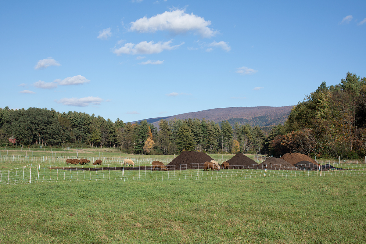 New Barn