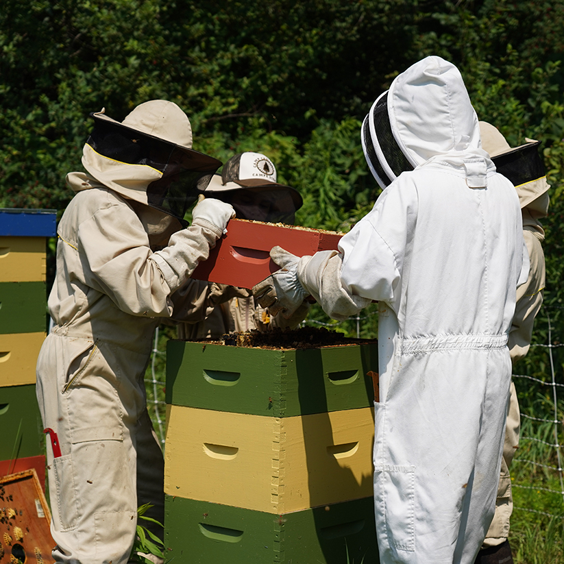 Hildene Youth Corps, 2021, learning more about the apiary