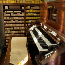 Organ