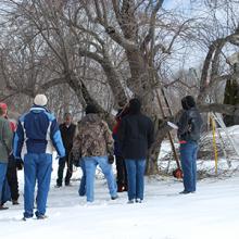 Apple Tree Pruning at Hildene