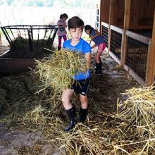 Farm Chores at Hildene