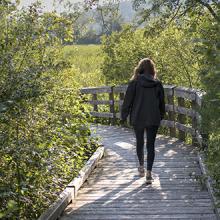 Member Walking Group_on the Boardwalk at the Dene