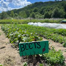 BBA Garden Tour