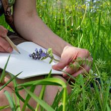 Nature Journaling