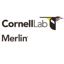 CornellLab and Merlin
