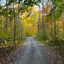 Gather and walk the trails at Hildene in the fall.