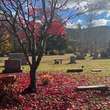 Take a educated walk at Dellwood Cemetery.