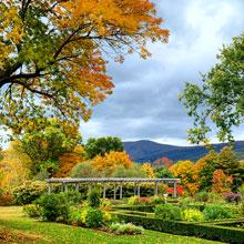 Autumn at Hildene, 2025